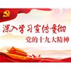 南阳市烙画厂党支部组织党员干部认真学习中共十九大精神