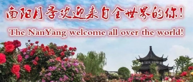 【2019“宛马”】迈进新时代、开启新征程, 奔跑吧南阳烙画人!