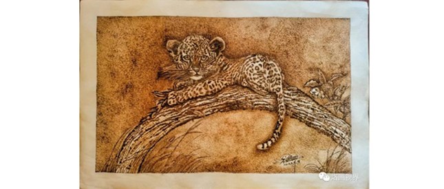 赵燕卿烙画作品展示