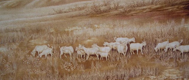 【作品展示】周蓉棉烙画作品欣赏