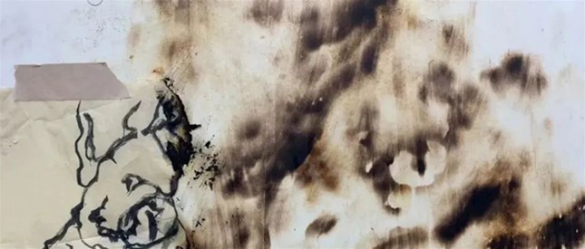 黄湘怡——火画作品
