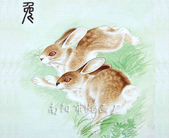兔