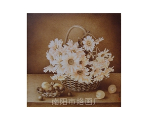 雏菊